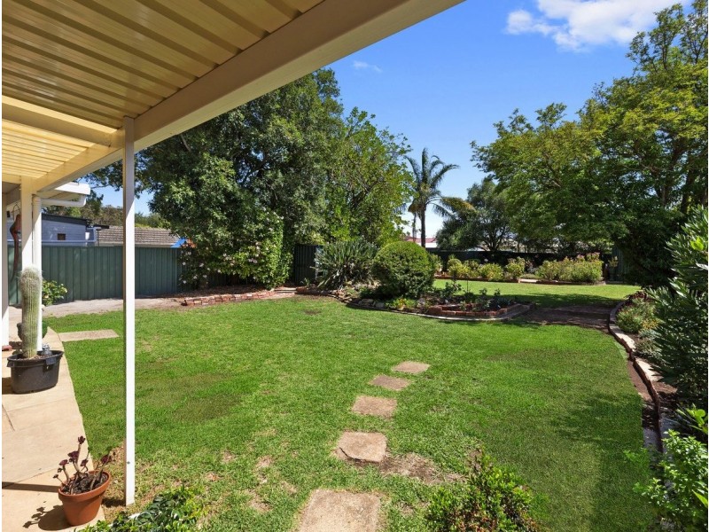 49 Wood Street, South Plympton SA 5038