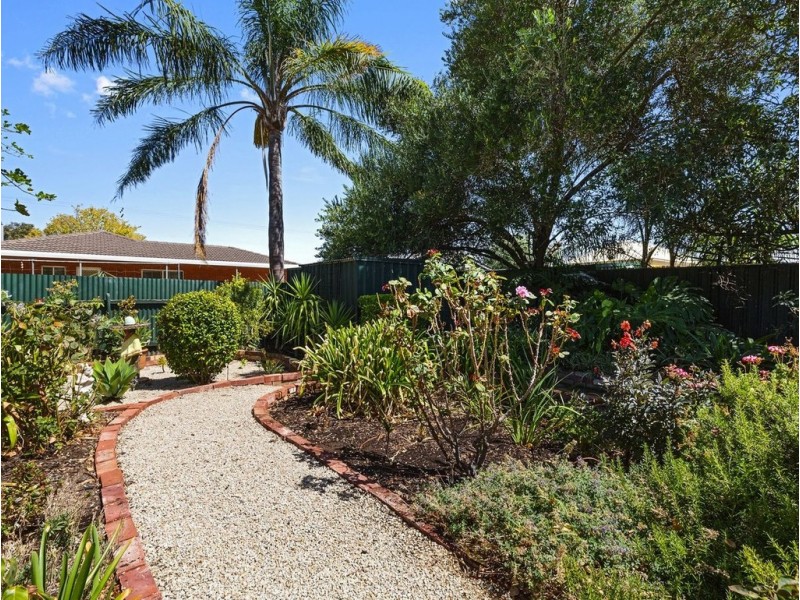 49 Wood Street, South Plympton SA 5038