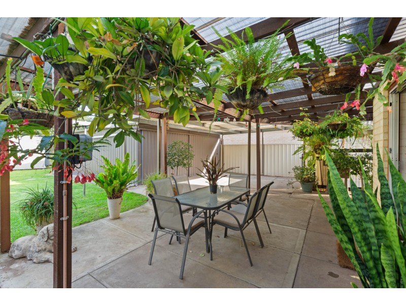 16 Hammersmith Avenue, Edwardstown SA 5039