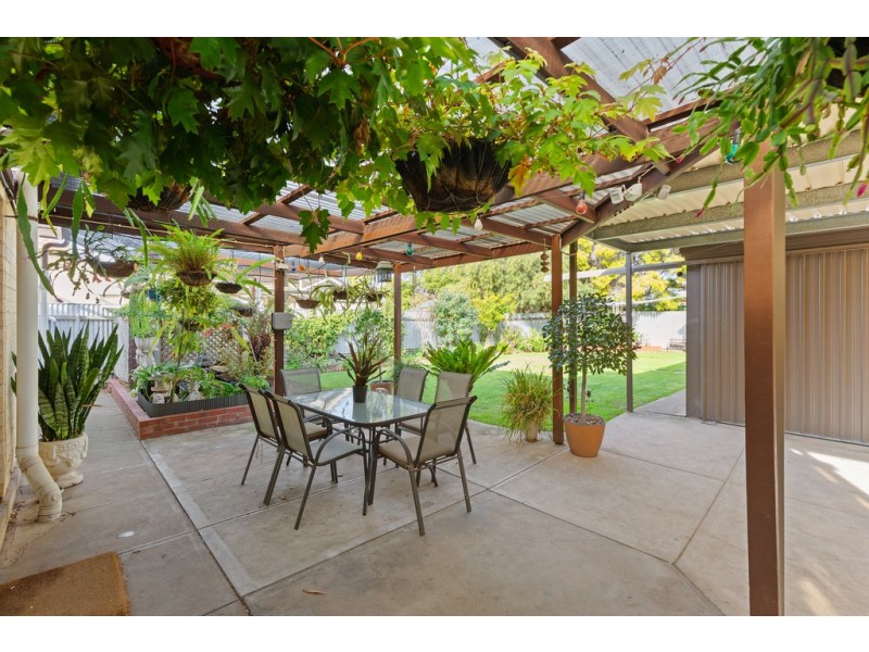 16 Hammersmith Avenue, Edwardstown SA 5039