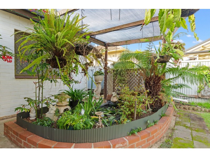 16 Hammersmith Avenue, Edwardstown SA 5039