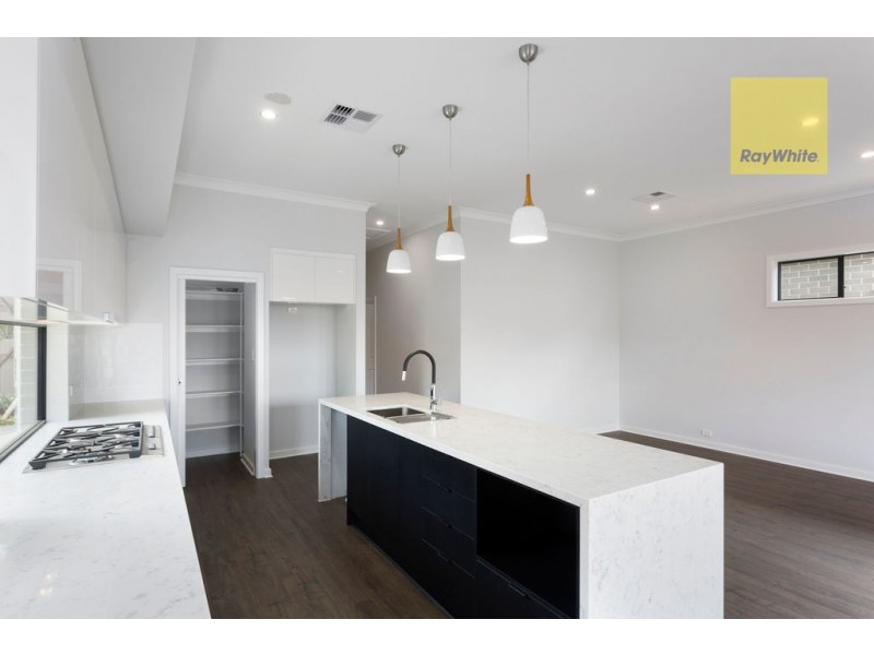 131a Raglan Ave, South Plympton SA 5038