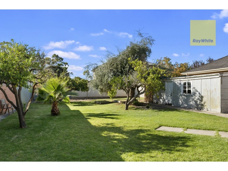 31 Allchurch Avenue, North Plympton SA 5037