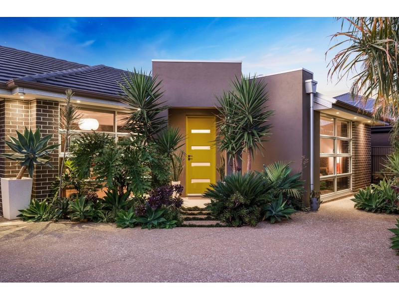 65A South Terrace, Plympton Park SA 5038