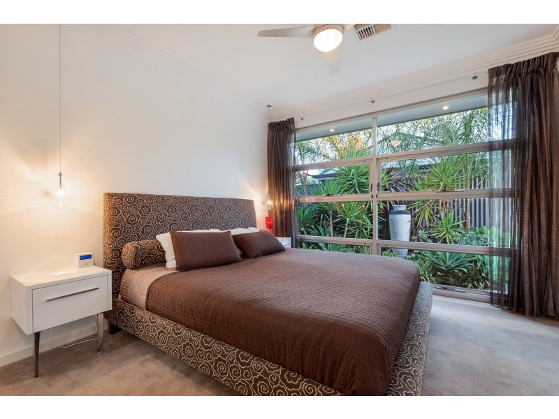 65A South Terrace, Plympton Park SA 5038