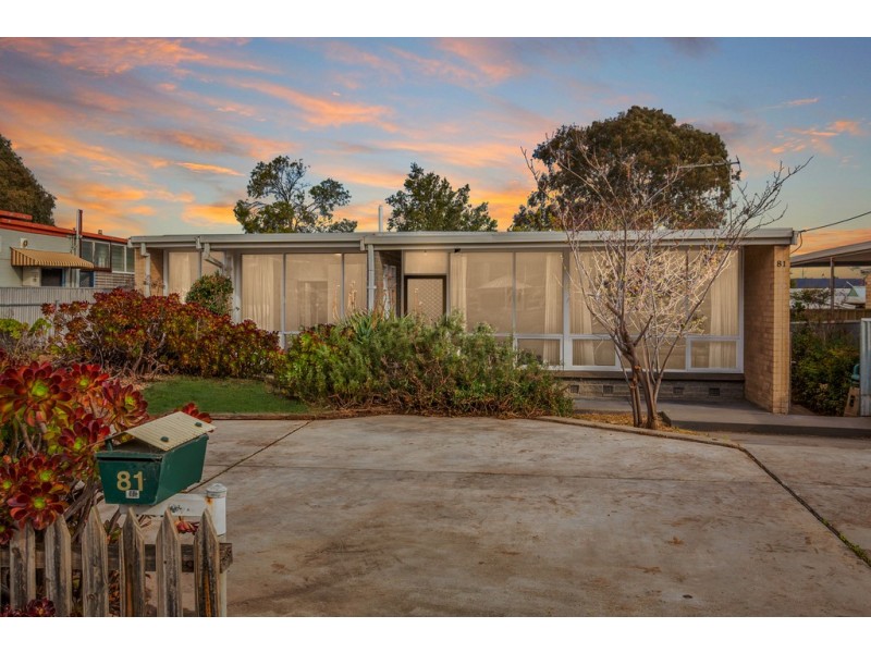 81 Mooringe Avenue, Camden Park SA 5038