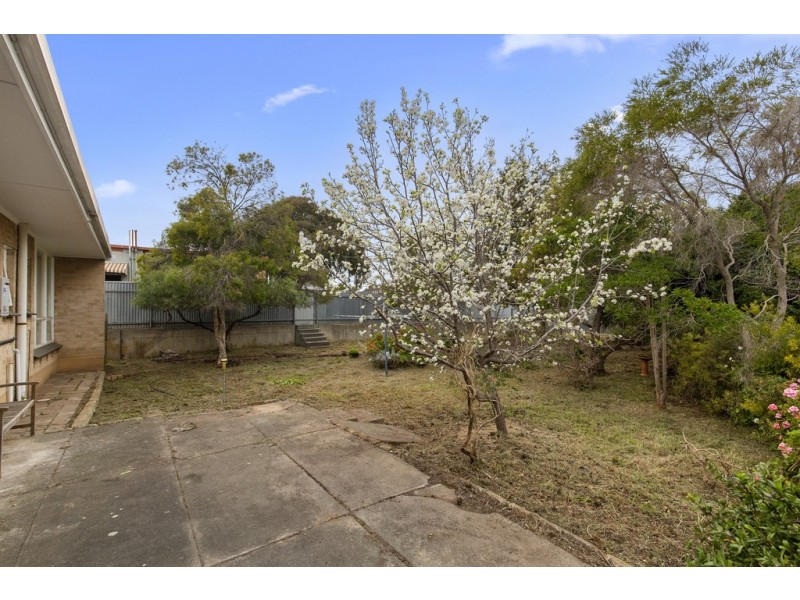 81 Mooringe Avenue, Camden Park SA 5038