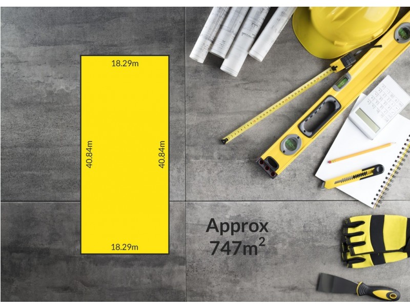 46 William Street, South Plympton SA 5038