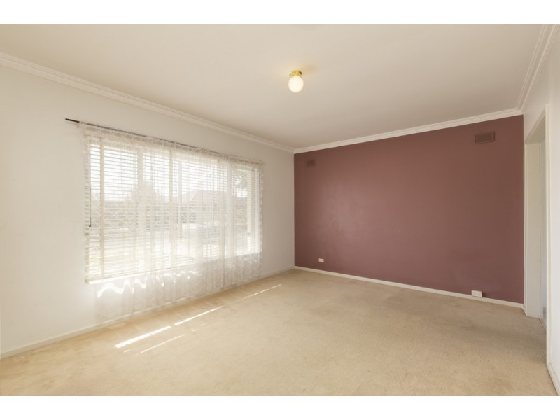 46 Allison Street, Ascot Park SA 5043