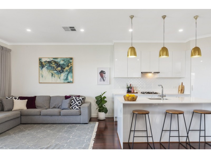 59 Celtic Avenue, Clovelly Park SA 5042