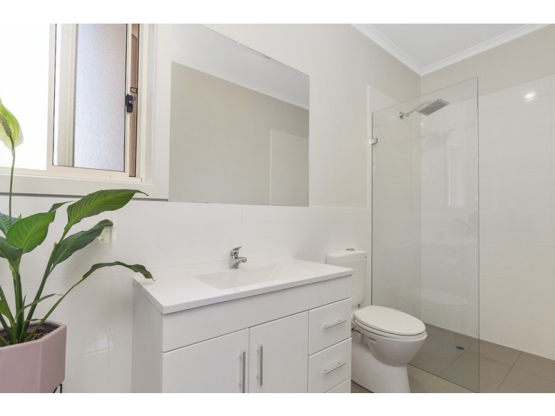 59 Celtic Avenue, Clovelly Park SA 5042