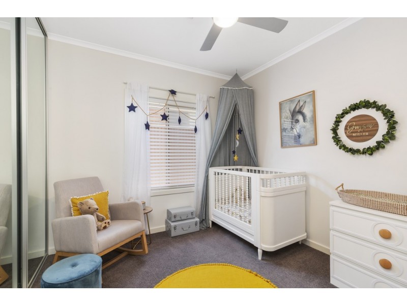 59 Celtic Avenue, Clovelly Park SA 5042