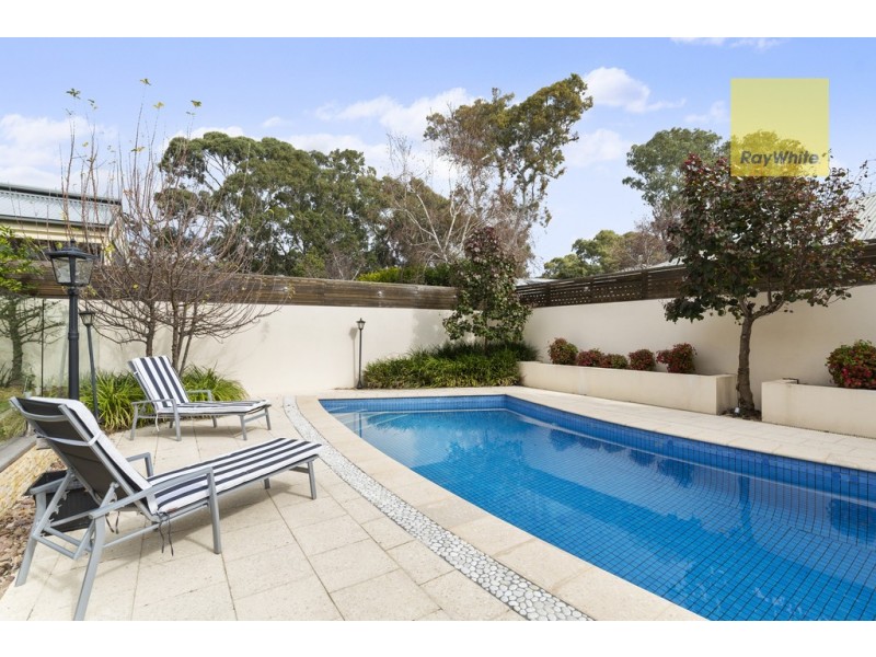 1 Carunta Street, Wattle Park SA 5066