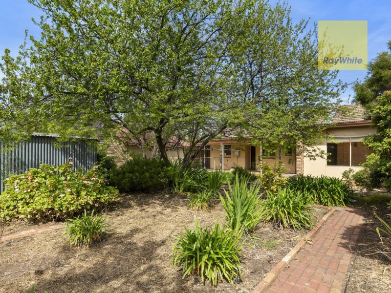 5 Dumbarton Avenue, Edwardstown SA 5039