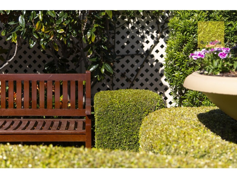 2B Vinall Street West, Brighton SA 5048