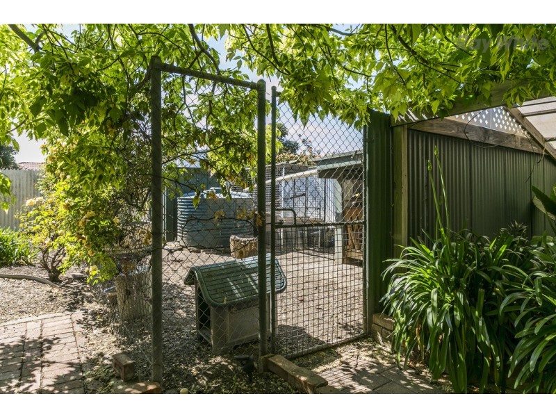13 Karong Avenue, Edwardstown SA 5039