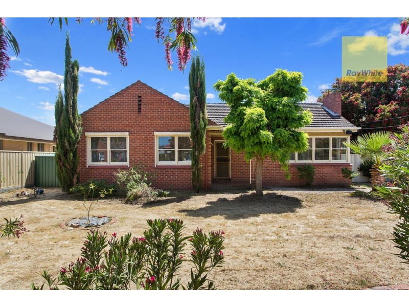 8 Gardner Street, Plympton SA 5038