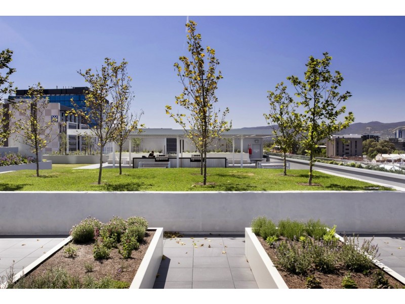 1005/29 Angas Street, Adelaide SA 5000