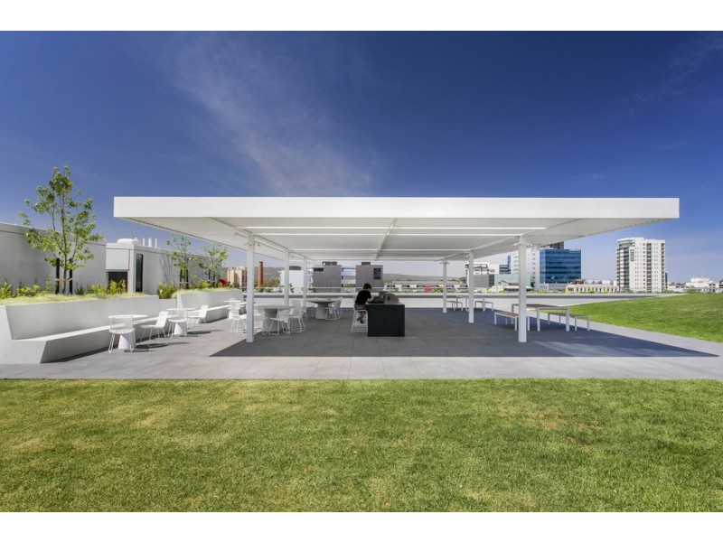 1005/29 Angas Street, Adelaide SA 5000