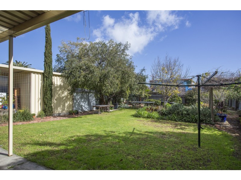 16 Swinburne Avenue, Plympton Park SA 5038