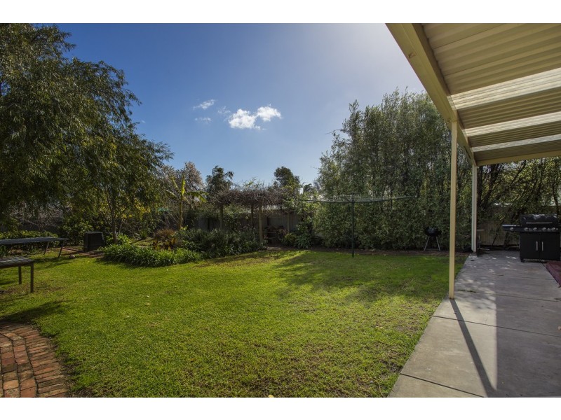 16 Swinburne Avenue, Plympton Park SA 5038