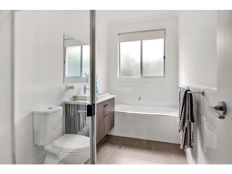 29C Trott Grove, Oaklands Park SA 5046