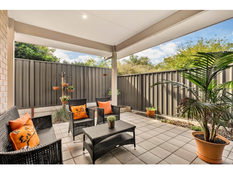 29C Trott Grove, Oaklands Park SA 5046
