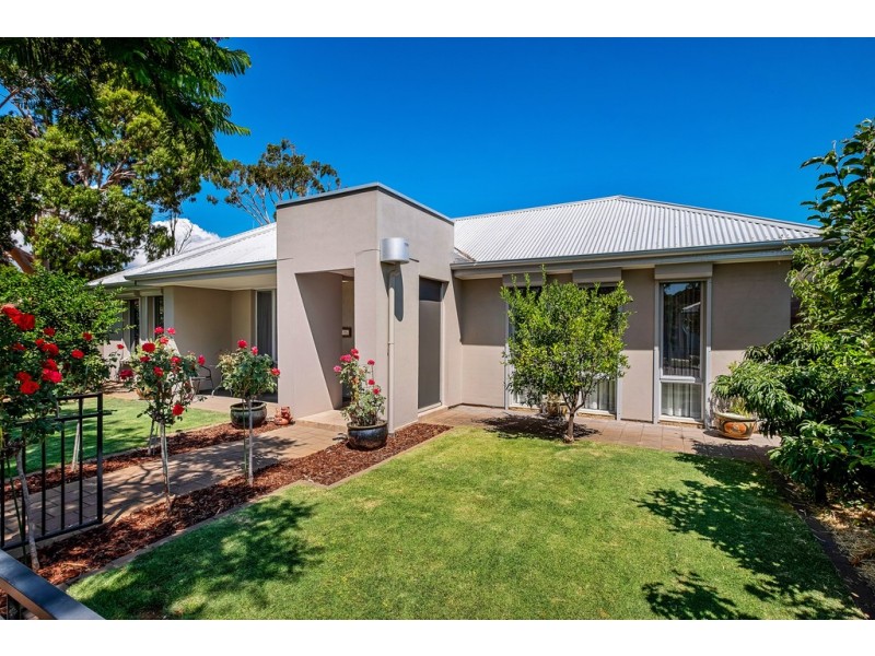 22 Bowden Grove, Oaklands Park SA 5046
