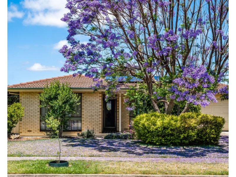 62 Helmsdale Avenue, Glengowrie SA 5044