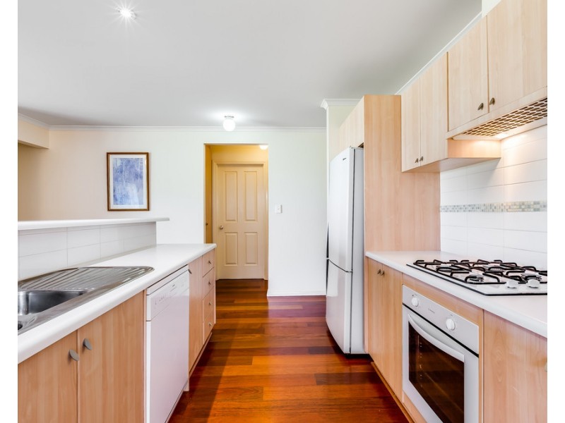 49A Finniss Street, Marion SA 5043