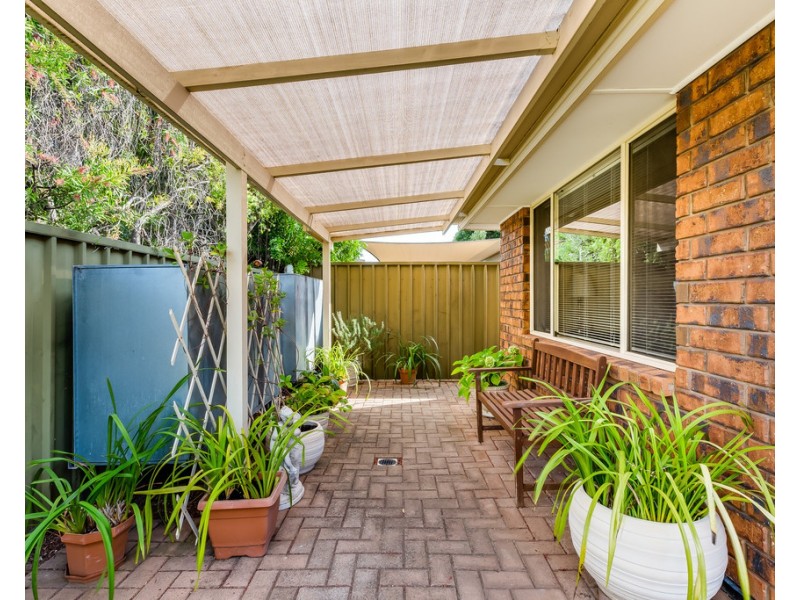 49A Finniss Street, Marion SA 5043