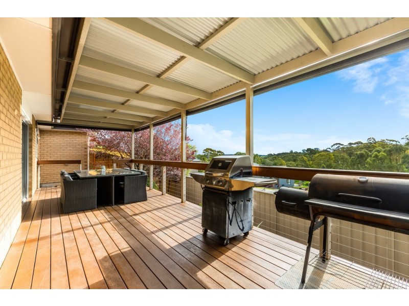 4 Holly Hock Court, Craigburn Farm SA 5051