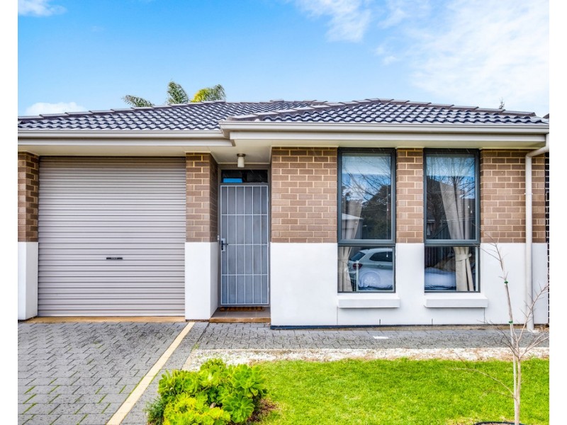 4 Ragless Avenue, Park Holme SA 5043