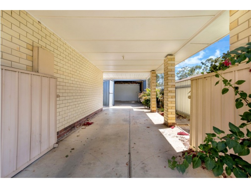 6 Cutting Road, Marion SA 5043