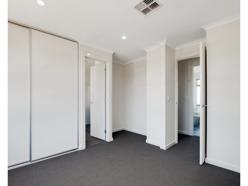 2 Shearing Street, Oaklands Park SA 5046