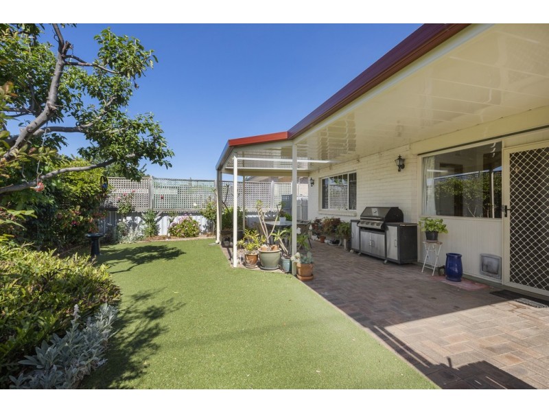 43 Nelson Street, South Plympton SA 5038