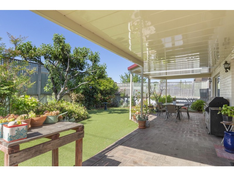 43 Nelson Street, South Plympton SA 5038