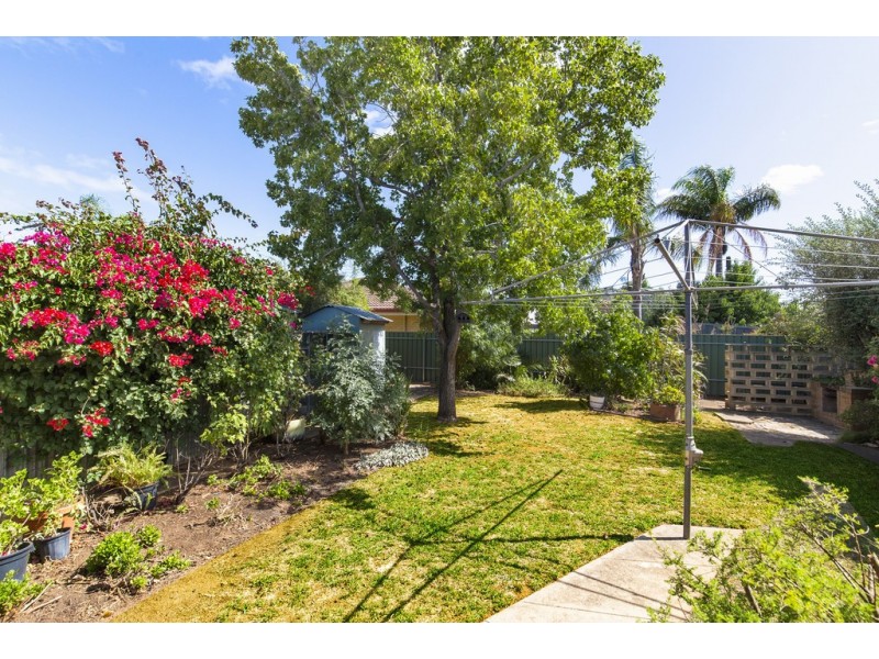 29 Dwyer Road, Oaklands Park SA 5046