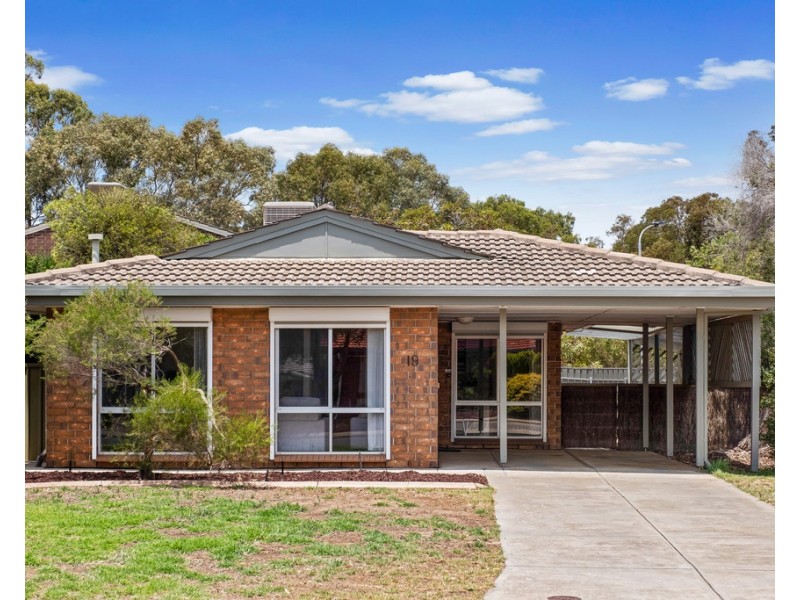 19 Cohen Court, Clovelly Park SA 5042