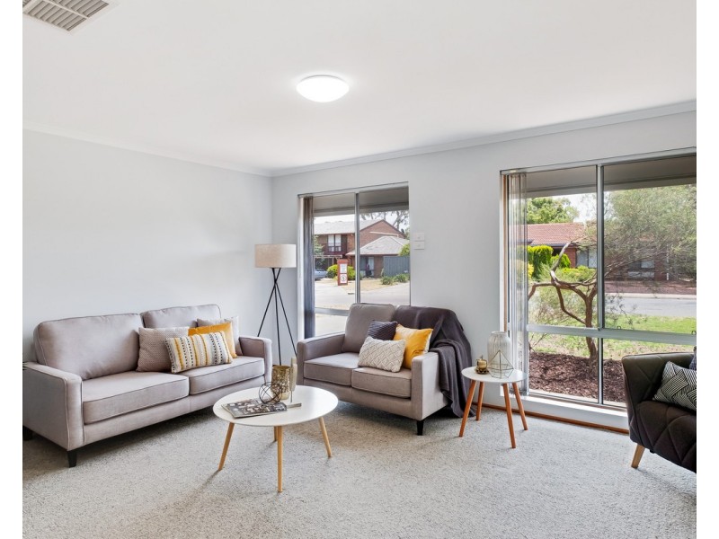 19 Cohen Court, Clovelly Park SA 5042