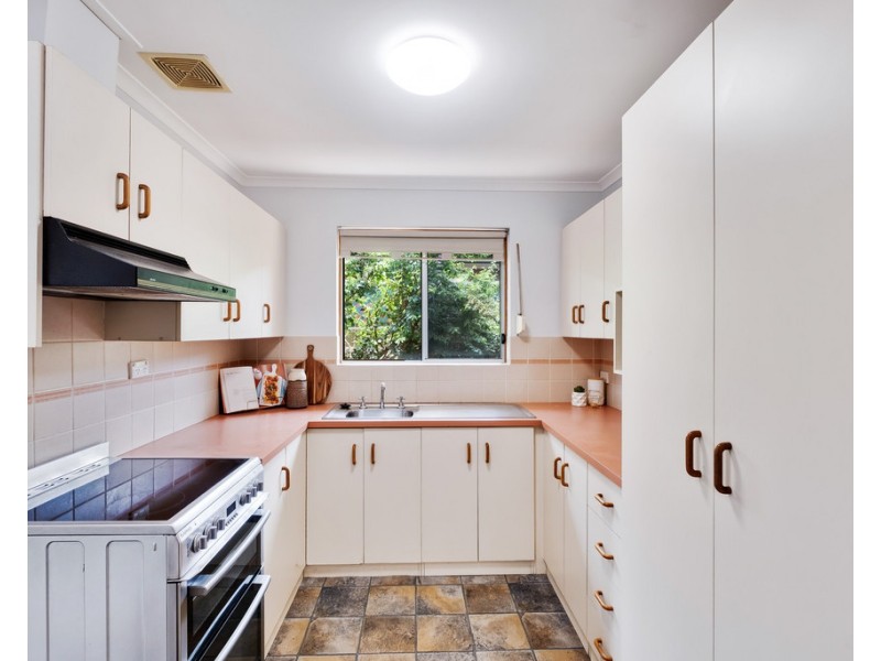 19 Cohen Court, Clovelly Park SA 5042