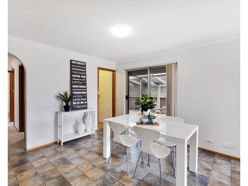 19 Cohen Court, Clovelly Park SA 5042