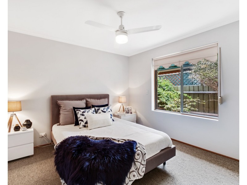 19 Cohen Court, Clovelly Park SA 5042