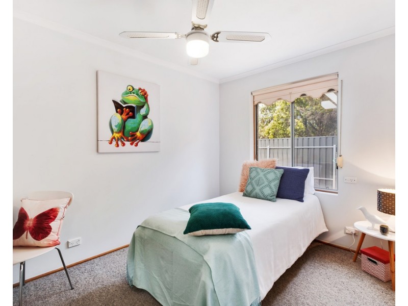 19 Cohen Court, Clovelly Park SA 5042