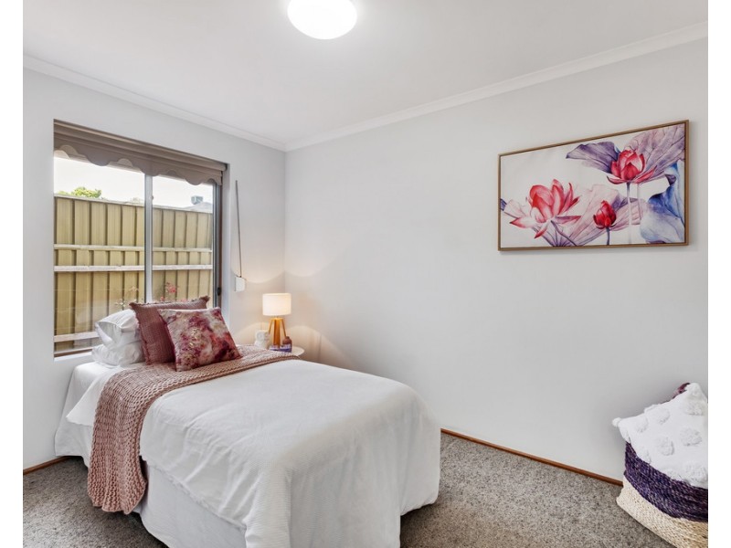 19 Cohen Court, Clovelly Park SA 5042