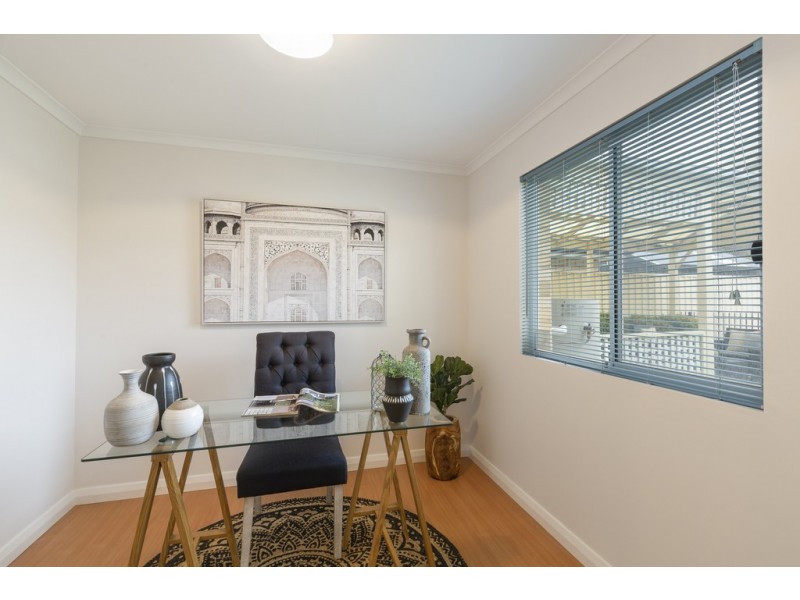 3 Wheaton Street, South Plympton SA 5038