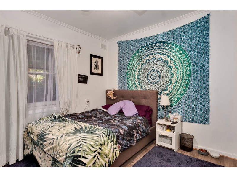 19 Bahloo Avenue, Mitchell Park SA 5043