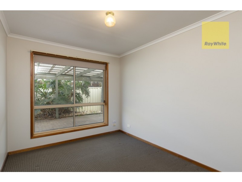 13 Bristol Avenue, Camden Park SA 5038