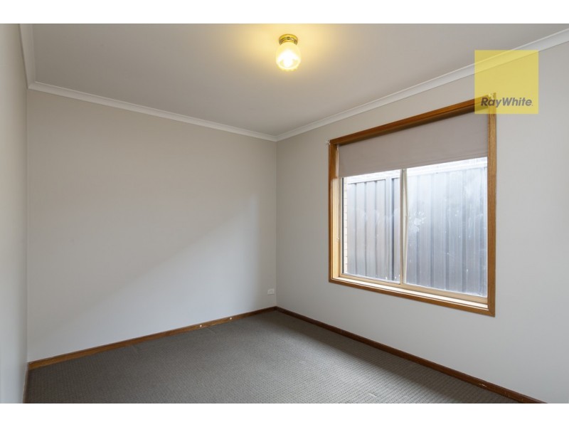 13 Bristol Avenue, Camden Park SA 5038