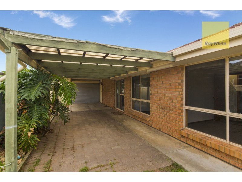 13 Bristol Avenue, Camden Park SA 5038